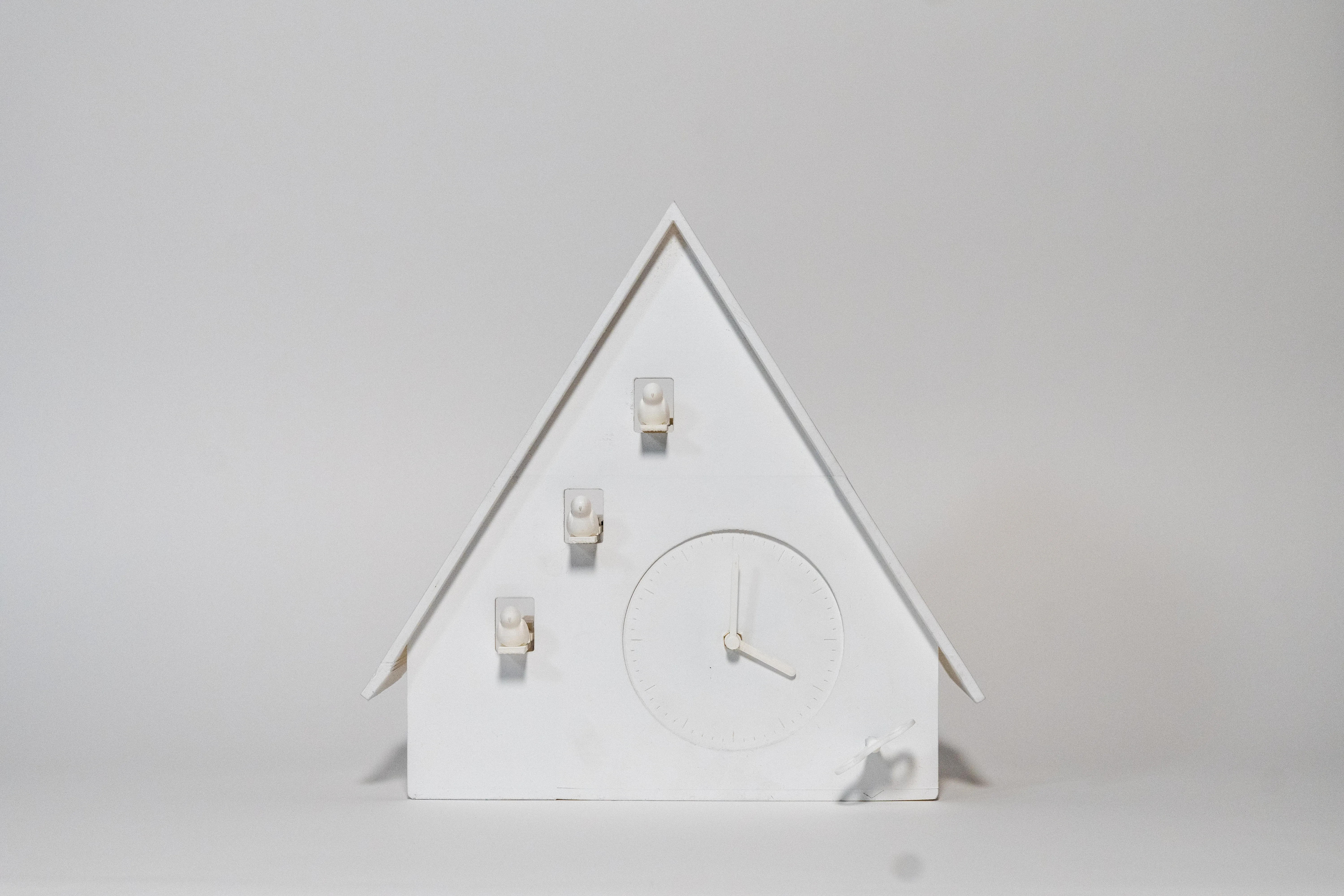 Cuckoo Journal device
