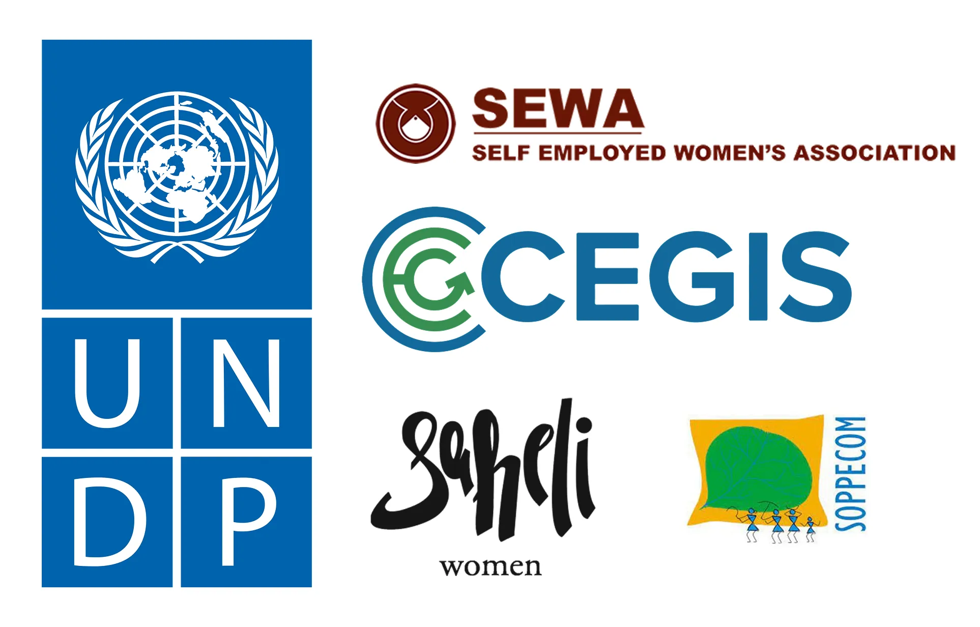 Logos of local NGOs and UNDP